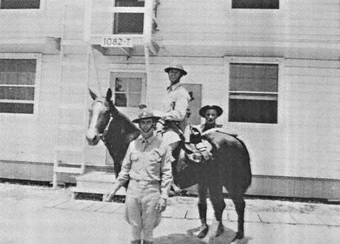 Lay-horse.JPG (27569 bytes)